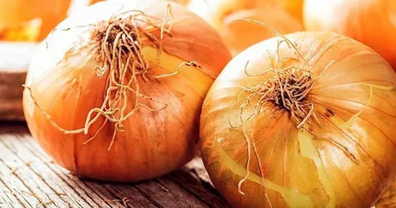 تصویر 2 از پیاز زرد پر آب زرد مرطوب و گوشت دار برای آشپزی تازه
